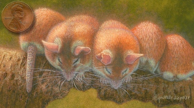 miniature painting of mice