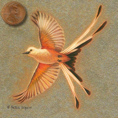 painting of a scissortail flycatcher