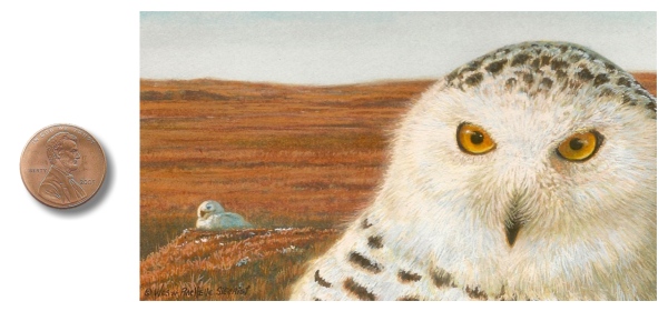 Skylord Snowy Owl painting by Wes & Rachelle Siegrist
