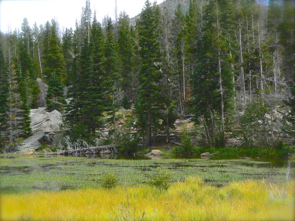 sprague lake in rocky mountain national