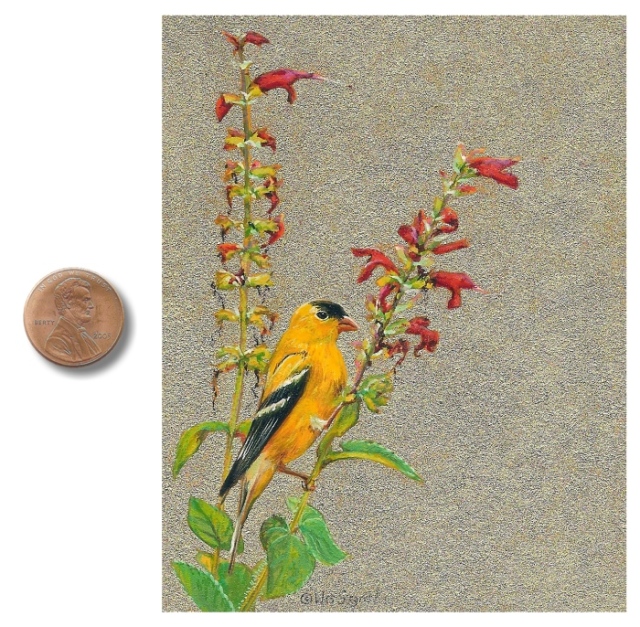 Male Goldfinch painting by Wes Siegrist