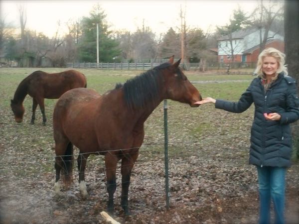rachelle siegrist feeding horses near louisville