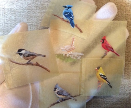 miniature songbird paintings on silk by rachelle siegrist