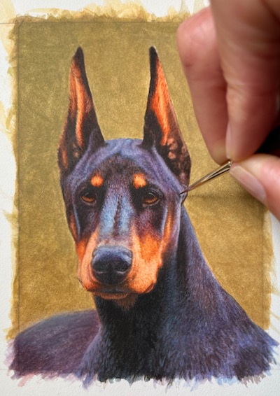 dog painting of doberman