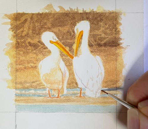 white pelican painting in progress